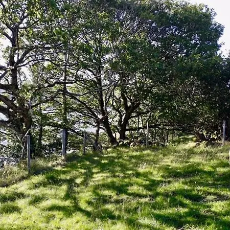 度假居 Ade's River