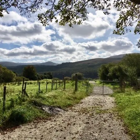 Ade's River * Lettermacaward