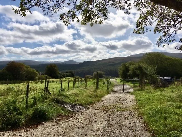 Ade's River * Lettermacaward